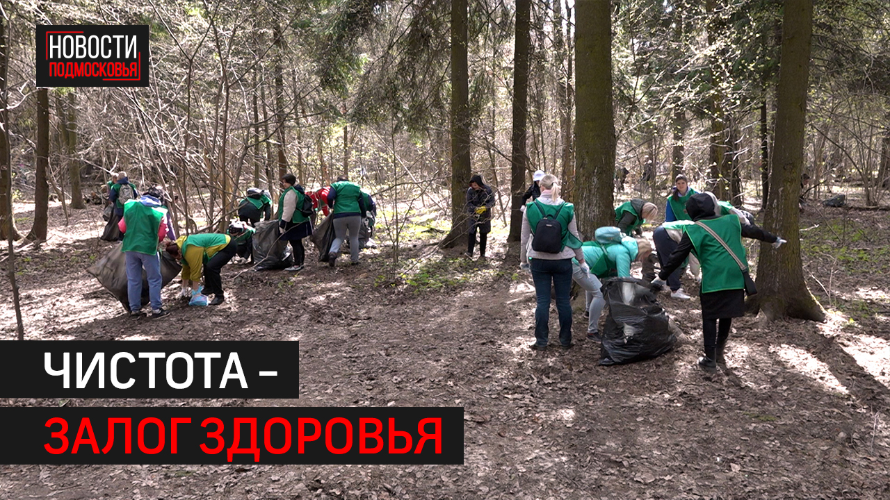 Ежегодные субботники провели в Балашихе