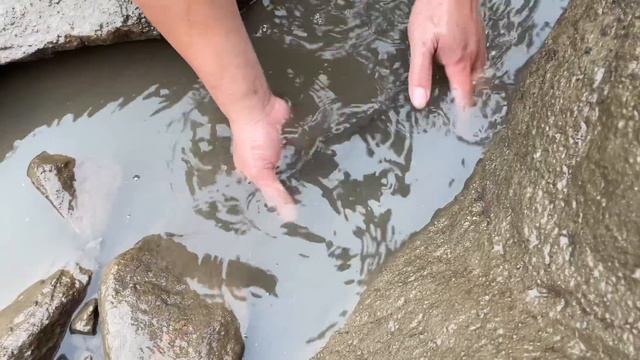 【海島輝少】美味豬肝打窩雙子坑 抓獲鰻魚一條直接爆桶 狗鯊成群 大賣三千多 смотреть онлайн