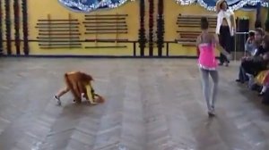 Белка на утреннике