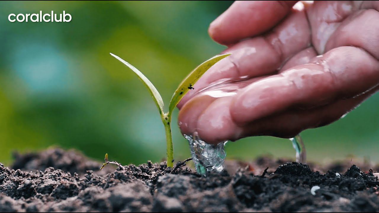 Сила природы в основе технологичных решений смотреть онлайн