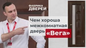 Межкомнатные двери от эксперта Фабрики дверей_ модель Вега