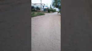 Мотоцикл урал переделка под скремблер