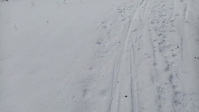 Ищем наших зайчиков. Следы на снегу