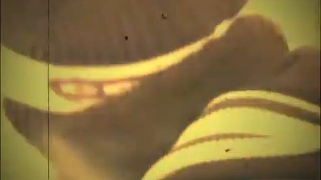 Владимир и катание на доске для катания по снегу смотреть онлайн