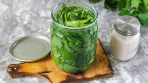 Листовой сельдерей на зиму