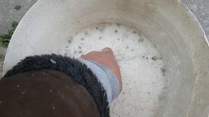 Бордосская смесь. Обзор действия препарата.