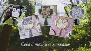 Макраме сова | Macrame owl