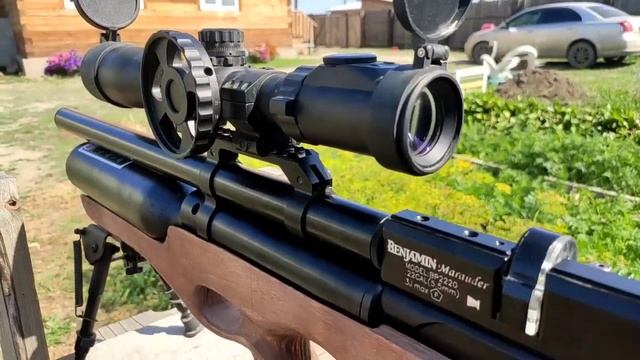 Отстрел перед продажей ПСП крысы (кросман 1377) и обращение к будущим покупателям. смотреть онлайн