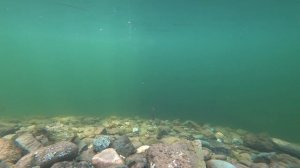 ✅Уловистая блесна Таурагского завода Olimpine