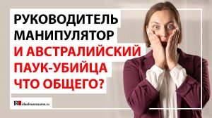 Манипуляции на работе  | Как общаться с руководством , если руководитель - манипулятор?