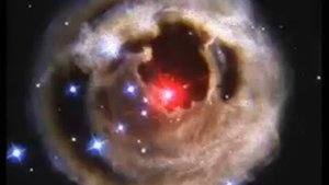 МАМИН САД-БРАТЬЯ РАДЧЕНКО