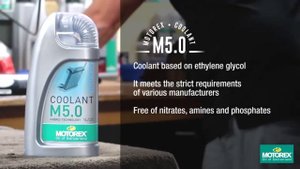 Выбор антифриза Motorex для мотоцикла