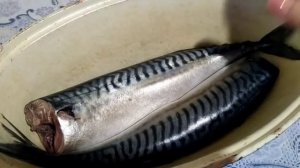 СКУМБРИЯ малосольная,ОЧЕНЬ ВКУСНАЯ,СОЛИМ САМИ