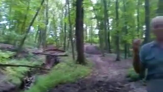 В Архиерейской роще Белгорода, которую собирались благоустроить, начали строить дома смотреть онлайн