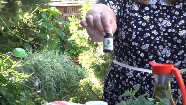 МЯТА ПЕРЕЧНАЯ || Чем полезна и как применять