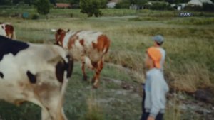 От луга до прилавка. Молочная мини-ферма в Чалыке