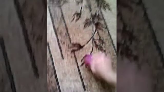 Правильная чистка ковра моющим пылесосом смотреть онлайн