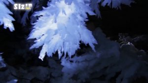 Flёur - Великое Ничто (Ольга Пулатова, неизданная песня 2010) #Fleur