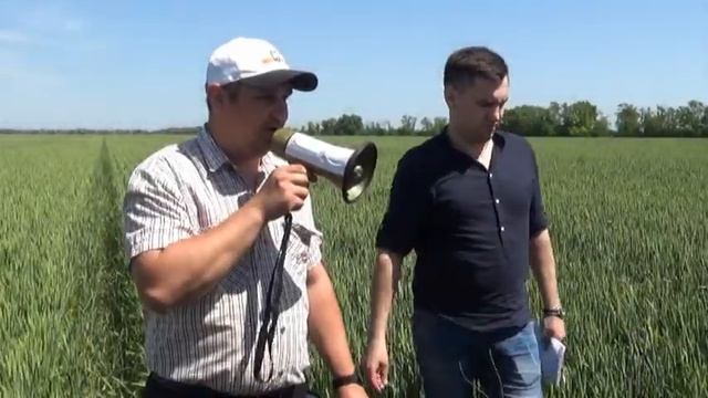 Полевые демонстрации по системе питания и защиты культур. Прямой посев в ООО " Рассвет" смотреть онлайн