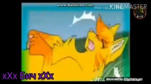 Клип/коты воители/Бич/ blood water.