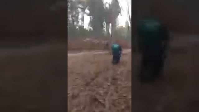 Yamaha Rhino ride смотреть онлайн