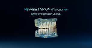 Revyline TM-104 «Патологии»