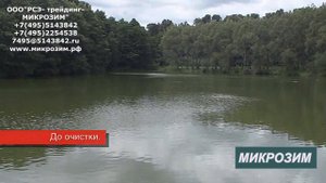 Цветение воды + биопрепарат Микрозим Понд Трит. Отзывы. Борьбы с сине-зелеными водорослями.