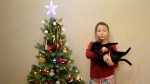 Утром кот принес на лапках..