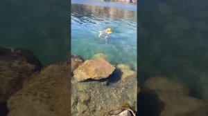 Подводный скутер. Радоновое озеро