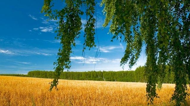 Родимая земля - Вахтанг Кикабидзе смотреть онлайн