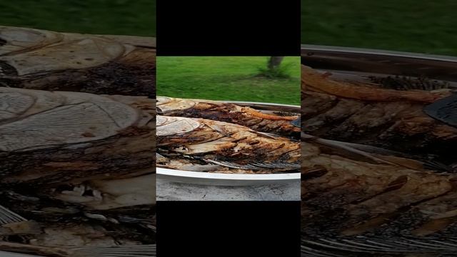 Снова рыба на мангале