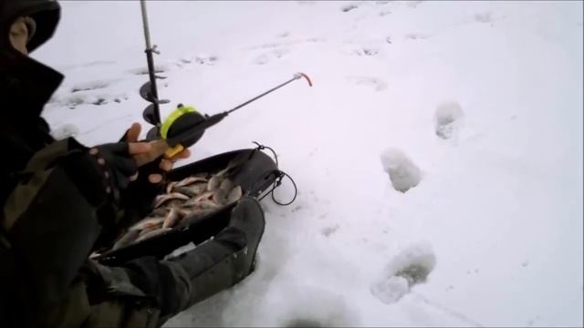 Бирля 5.01.2013г  Flamm и его 400кг окуней смотреть онлайн