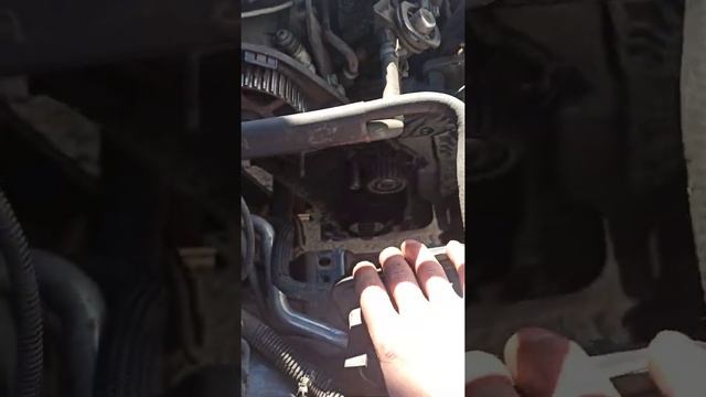 замена ремня грм шкода Октавия а 5 тур 1,6 BFQ смотреть онлайн