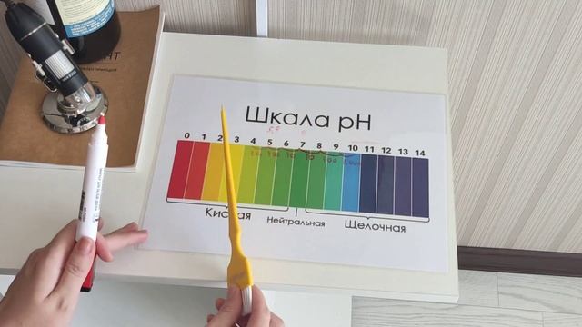 Что такое шкала РН #рнбалансирование от Алёны Вороны
