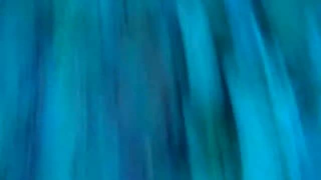 Семена атакует приведение Семён после драки с приведением не ел 3 дня черно белый кот в шоке смотреть онлайн