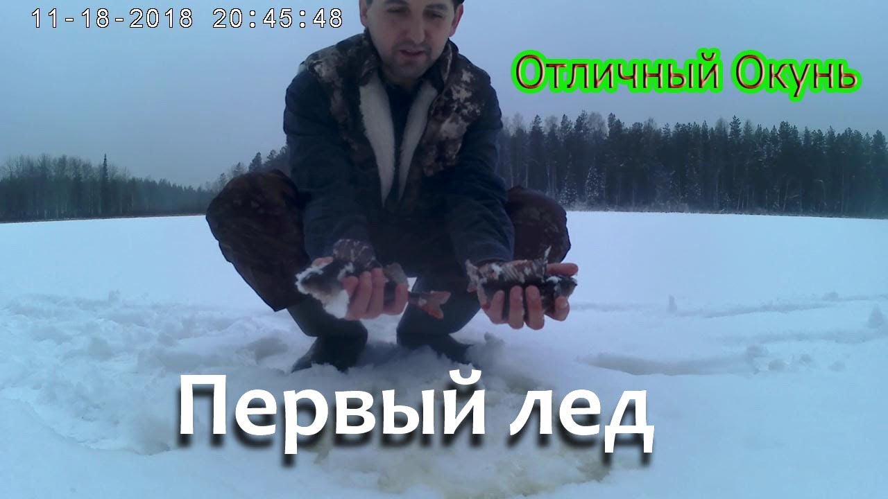 Форум на севере архангельск. Рыбалка на севере форум. Соната тур рыбалка на севере форум. Окуни зимняя рыбалка на льду. Форум рыбалка на севере в Архангельске.