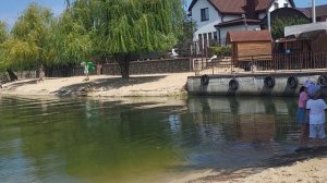 Река Дон