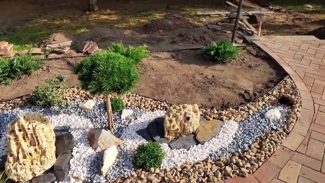 Мини рокарий вдоль дорожки и садовый ниваки.