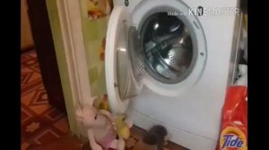 живые игрушки