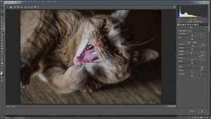 Исправляем расфокус в Photoshop (усиливаем резкость)