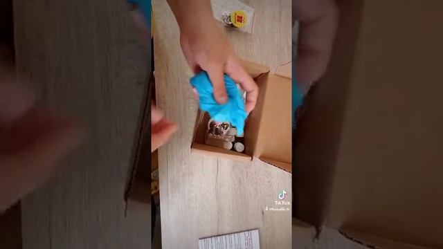 Ко мне приехала моя посылка.Распоковка эпоксидной смолы.(Подписывайся на мой тик ток bumazhka_tv) смотреть онлайн