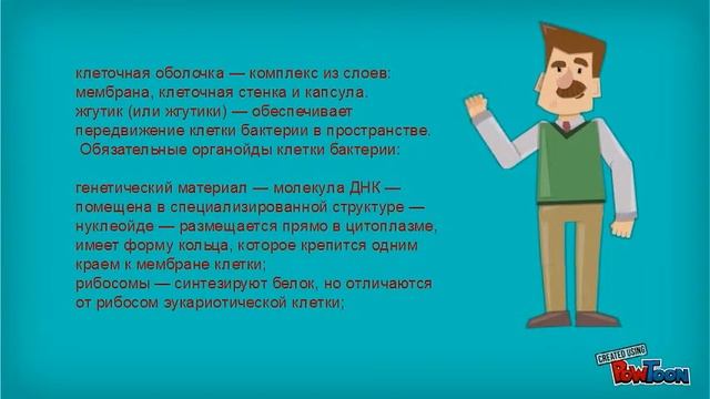 Бактерии