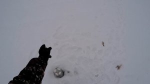 Открытие сезона 2022! Рыбалка на хапуги и удочку! Что лучше?