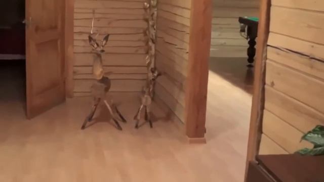 38. дом на сутки тел 7 937 777 27 27 смотреть онлайн