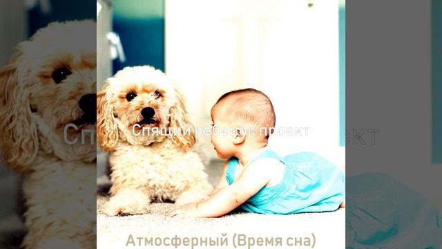 Впечатление (Сказка на ночь) смотреть онлайн