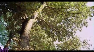 Ветреная женщина| Никита & Лия