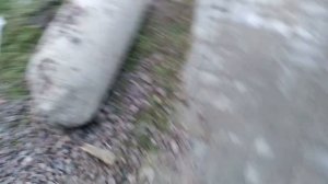 СБОР И СДАЧА АЛЮМИНИЕВЫХ БАНОК в 2020| БАНКИ УПАЛИ в ЦЕНЕ