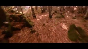 Candide Thovex – quattro®