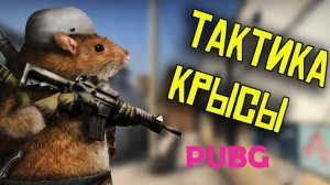 PUBG крысиная тактика | Im_Dexter