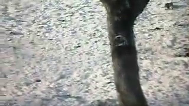 ПРИРОДНЫЕ аномалии